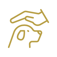 icon_holistic