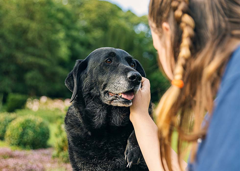End of Life pet care in Seguin, TX