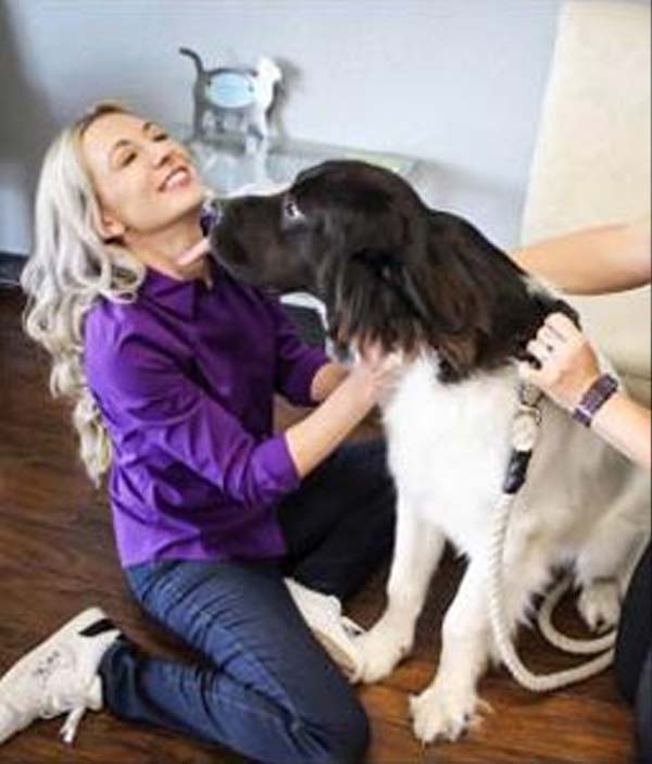 Dr. Kristen DeCola | Veterinarian