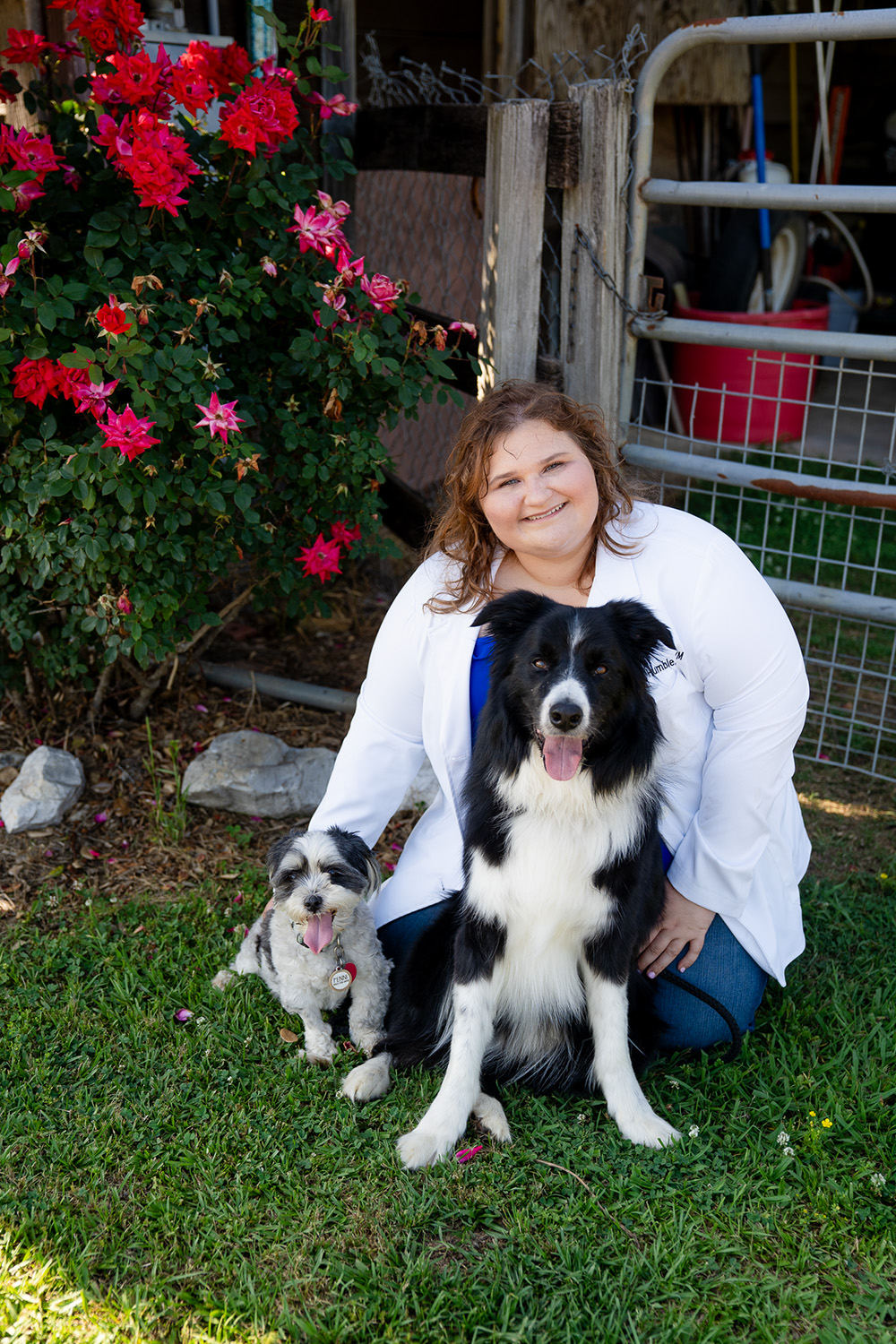 Dr. Sydney Harter | Veterinarian